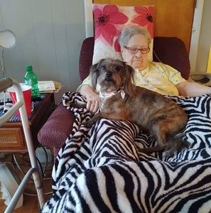 Meet your Posher, Lucy